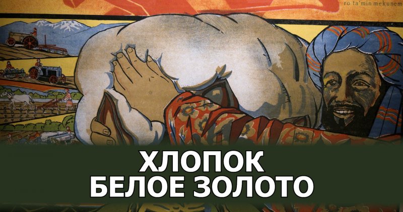 АЗЕРБАЙДЖАН. Хлопок - Белое золото