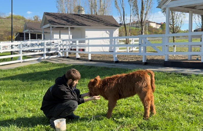 ЧЕЧНЯ. В Грозном откроется первая контактная ферма — место встречи человека и природы