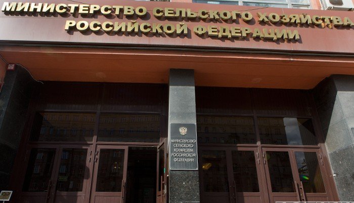 Экспорт продукции АПК из России в Казахстан в 2024 году составил почти 8 млн т