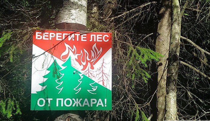 Посещать леса после трехмесячной паузы снова разрешили на Ставрополье