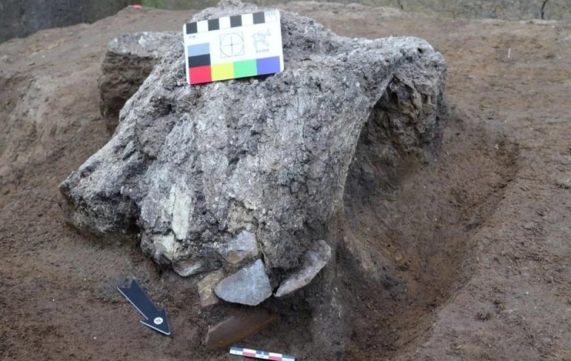 В Зарайске археологи нашли череп мамонта с «кладом» внутри
