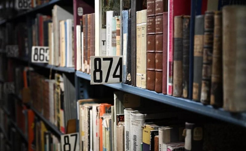 ВОЛГОГРАД. Волгоградская область вошла в топ-20 самых читающих регионов России благодаря проекту «Книжная одиссея»