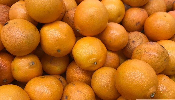 АБХАЗИЯ. Абхазия нарастила экспорт цитрусовых в РФ с начала сезона