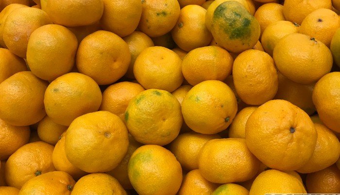 АБХАЗИЯ. В Абхазии рассказали, сколько кг мандаринов можно провозить туристам