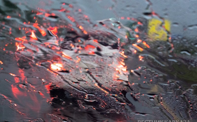 АБХАЗИЯ. Володин прояснил, какие иностранные водительские права могут признать в России