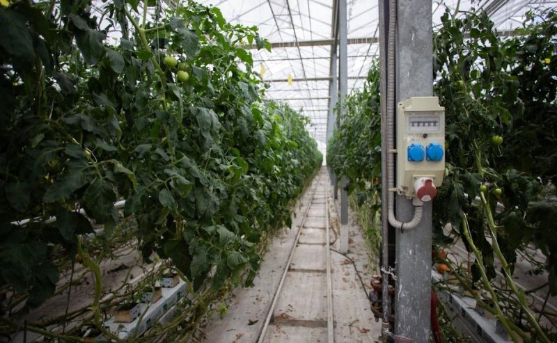 АДЫГЕЯ. Адыгея вошла в первую десятку регионов по занятости населения в малом и среднем бизнесе