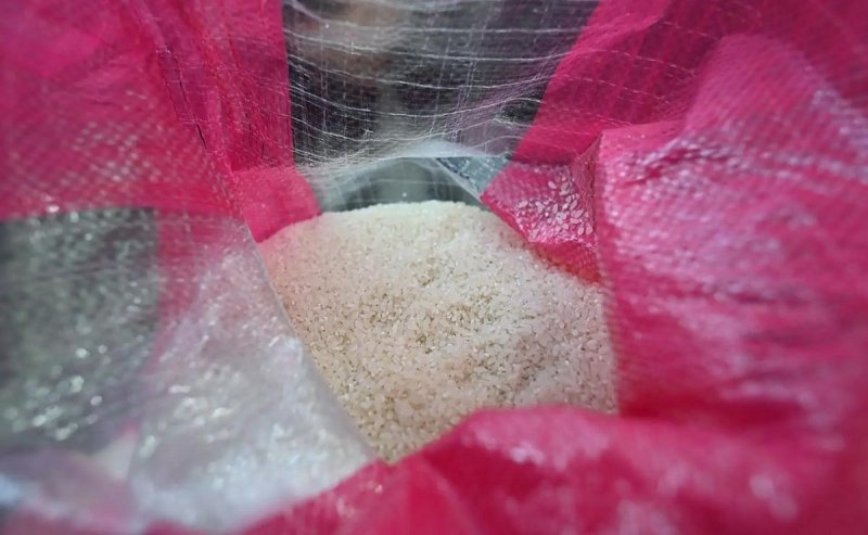 АДЫГЕЯ. Глава Адыгеи Мурат Кумпилов: Урожайность риса в республике превышает средние многолетние значения