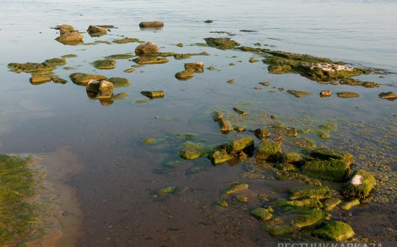 АЗЕРБАЙДЖАН. Ашхабад принял заседание Комиссии по охране водных биоресурсов Каспия