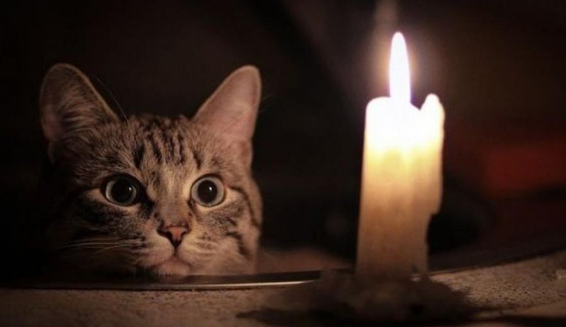 ЧЕЧНЯ. 7 ноября в Чечне отключат электричество для проведения технических работ