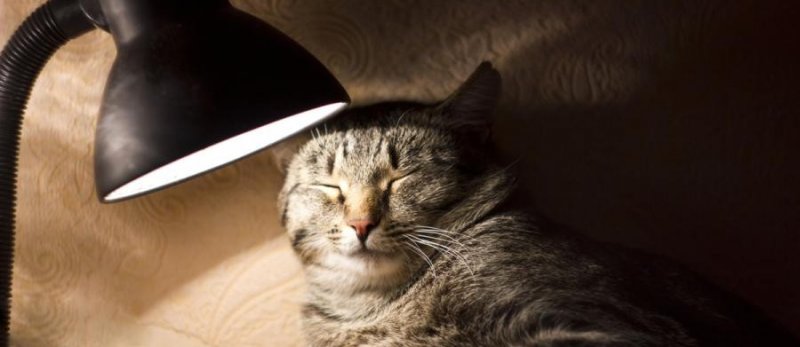 ЧЕЧНЯ. «Чеченэнерго» объявляет о плановых отключениях электричества 8 и 10 ноября