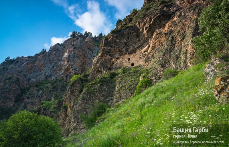 ЧЕЧНЯ. Нашха — колыбель чеченских тайпов