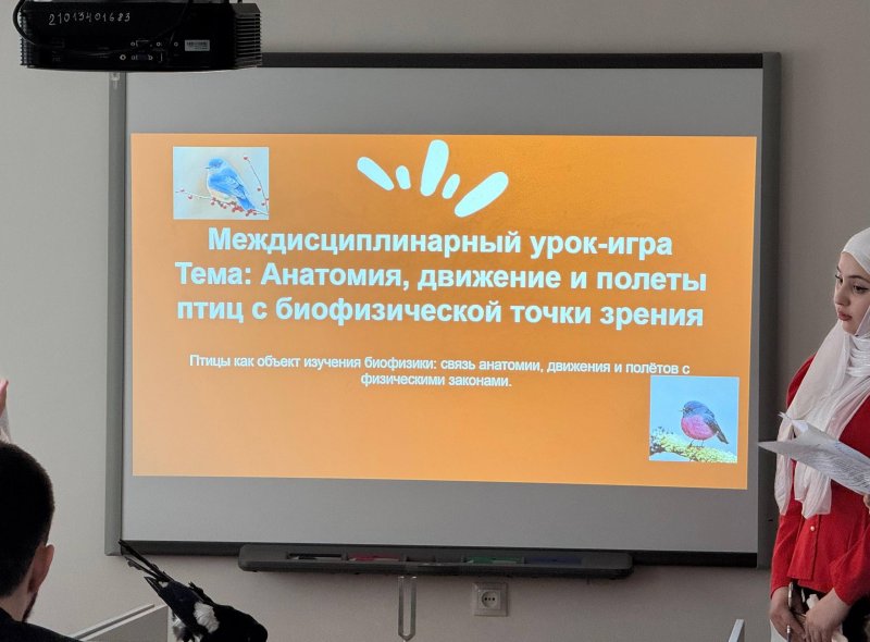 ЧЕЧНЯ. В ЧГПУ прошёл междисциплинарный урок о полётах птиц с точки зрения биофизики