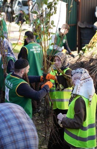 «Хайра» раздаст 15 000 саженцев в рамках акции «Дерево в Раю»