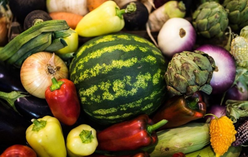 Эксперт рассказала, как перейти на ежедневный рацион в пределах 1400 калорий