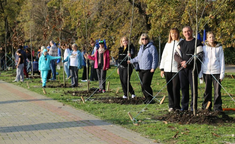 КРАСНОДАР. В Геленджике заложили новую аллею в честь 29 участников Великой Отечественной войны в рамках экопроекта «Дерево нашей семьи»