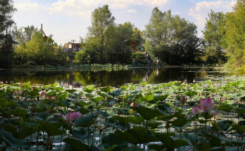 ВОЛГОГРАД. Экологический туризм в Волгограде набирает популярность