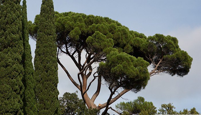 Зимний отдых в Адыгее и Абрау-Дюрсо выросли более чем на 100%