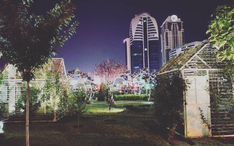 ЧЕЧНЯ. Чечня — лидер по молодому предпринимательству: каждый третий ИП моложе 35 лет