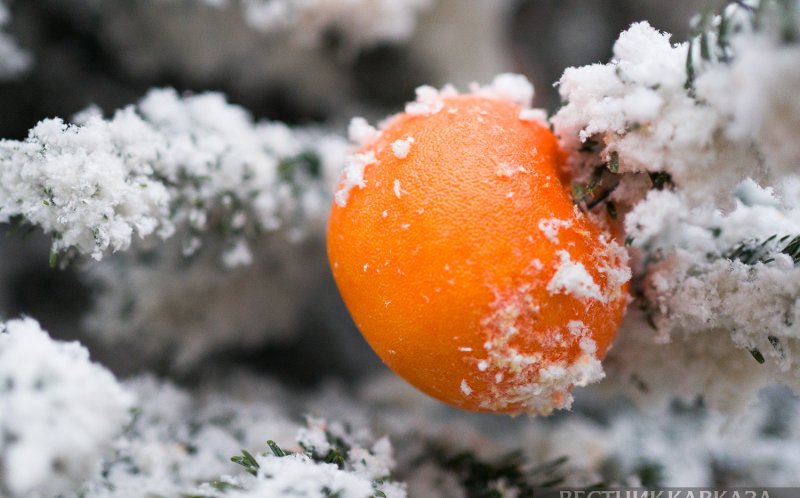 АБХАЗИЯ. Абхазия на Новый год пользуется стабильным спросом