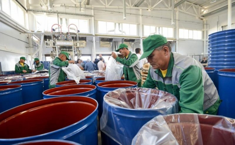 АСТРАХАНЬ. Астраханский завод по производству томатной пасты расширил ассортимент выпускаемой продукции