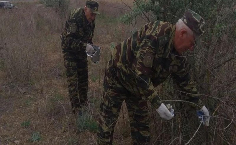 АСТРАХАНЬ. В Астраханской области приступили к вакцинации диких животных от бешенства