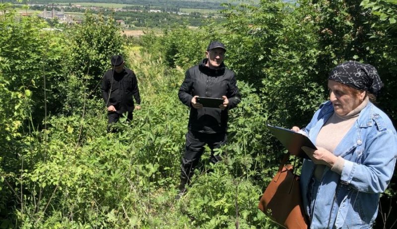 ЧЕЧНЯ. В Чечне завершён этап мониторинга воспроизводства лесов в 2025 году