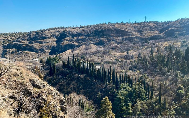 ГРУЗИЯ. В Грузии в горах Сванети заработает новый заповедник