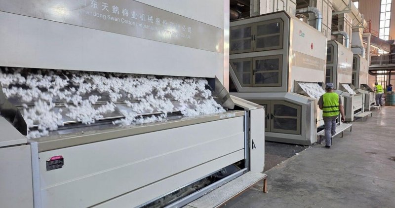 В Казахстане откроется еще один хлопковый кластер