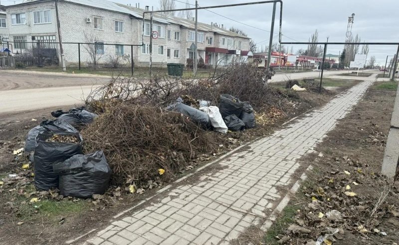 ВОЛГОГРАД. Прокуратура добилась устранения несанкционированной свалки в Старой Полтавке