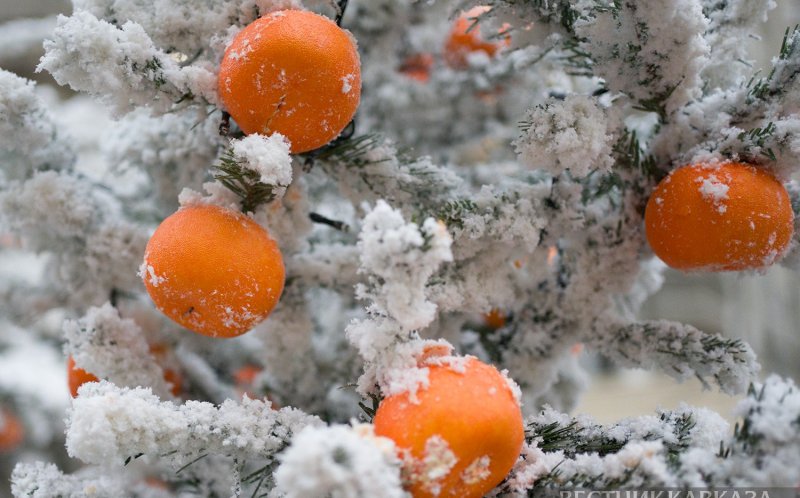 АБХАЗИЯ. Отдых в Абхазии в новогодние праздники стал втрое популярнее
