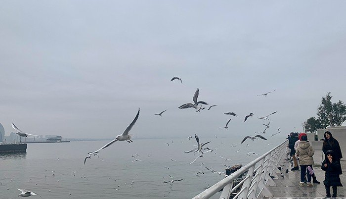 АЗЕРБАЙДЖАН. Каспий: море или крупнейшее озеро мира?