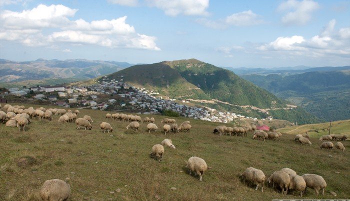 Азербайджан многократно нарастил закупки живых животных у России