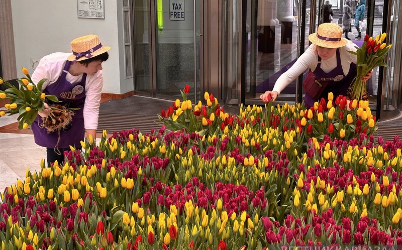 Азербайджан вошел в топ-3 зарубежных направлений для поездок на 8 марта