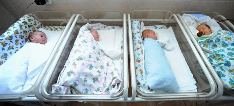 ЧЕЧНЯ. 83 малыша встретили Новый 2026 год в Чечне: первенцем стал мальчик Юнус