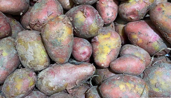 ГРУЗИЯ. Грузинского картофеля в магазинах России стало больше в шесть раз