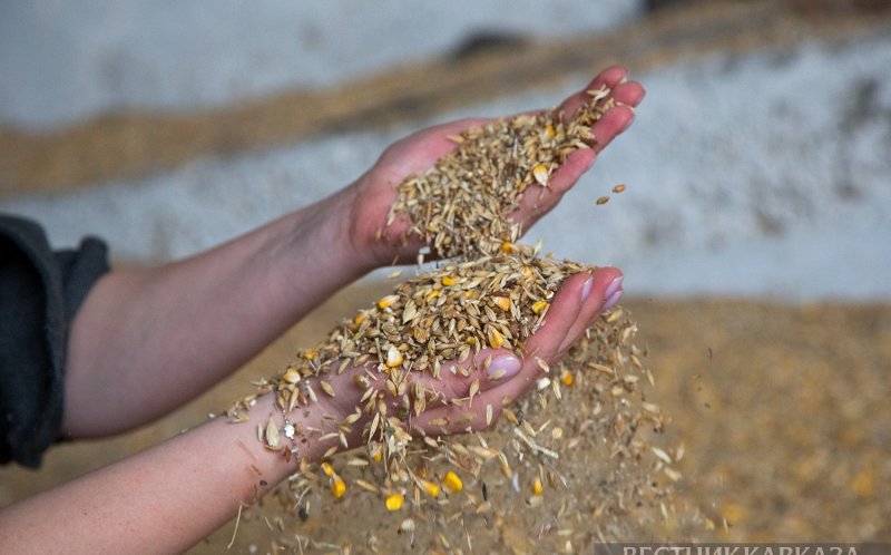 Рекордный урожай зерна из Ульяновска отправлен в Иран, Азербайджан и Турцию