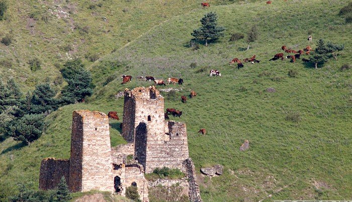 Самый высокогорный музей России откроют в Ингушетии