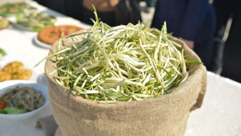 В феврале в Ведено пройдёт яркий праздник черемши «Хонк-Фест»
