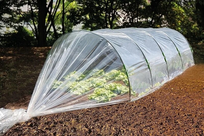 Пленка полиэтиленовая 200 мкм в сельском хозяйстве: укрытие грядок и мульчирование