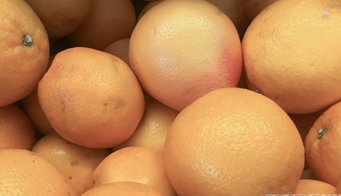 АБХАЗИЯ. "Абхазская цитрусовая компания" создаст новые рабочие места