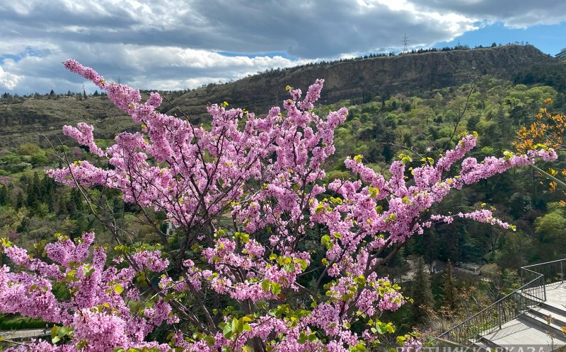 АРМЕНИЯ. Столицы Южного Кавказа стали популярны для отдыха на 8 марта – РСТ