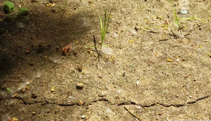 АРМЕНИЯ. Землетрясение в Армении: Масис тряхнуло на 2,2