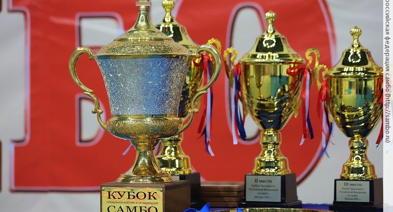 ЧЕЧНЯ. Сборная Чеченской Республики завоевала серебро на «Кубке Федераций» по самбо