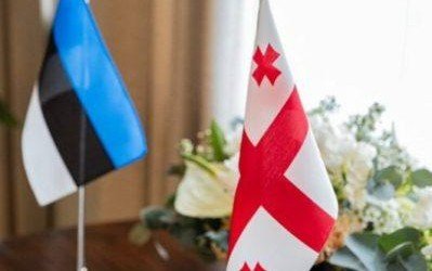 Глава МИД Грузии прокомментировала перевод посла Эстонии в Армению: «Ничего особенного»