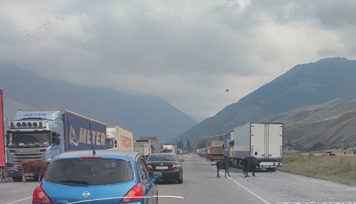 ГРУЗИЯ. Движение грузовиков через Верхний Ларс восстановлено