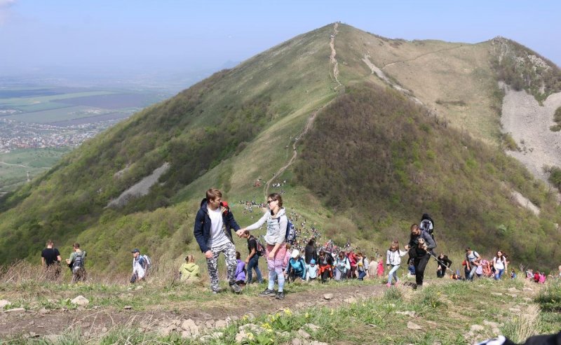СТАВРОПОЛЬЕ. Ставрополье вошло в топ регионов по сбору турналога в 2025 году