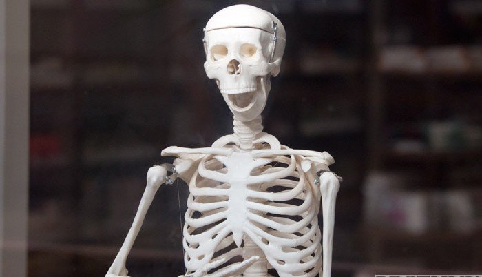 Ученый из Узбекистана разработал гидрогель для 3D-печати органов