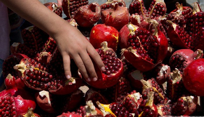 Узбекистан будет активно торговать с Пакистаном