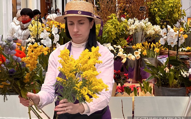 АБХАЗИЯ. Абхазия нарастила поставки мимозы в Россию
