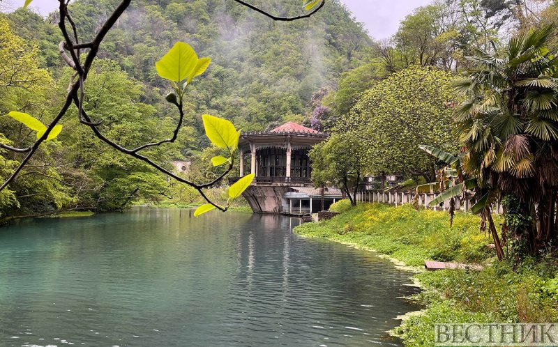 АБХАЗИЯ. Абхазию стали чаще выбирать для отдыха с детьми